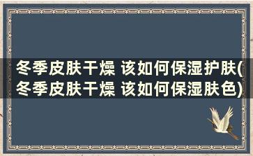 冬季皮肤干燥 该如何保湿护肤(冬季皮肤干燥 该如何保湿肤色)